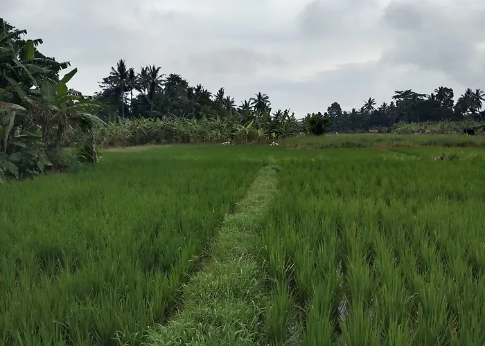 Villa Tenang *